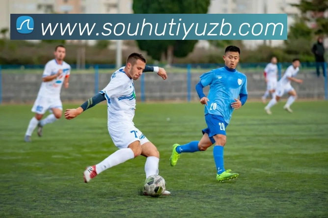 搜狐体育直播平台生态图